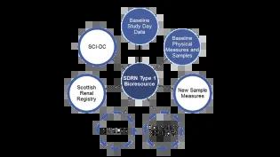 SDRN Type 1 Bioresource e-Health Data Linkages