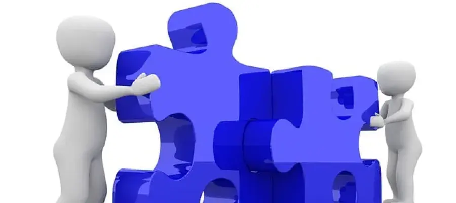 Working together to solve research questions