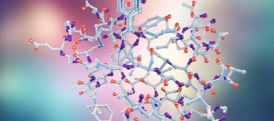 Molecular model of insulin molecule, 3D illustration