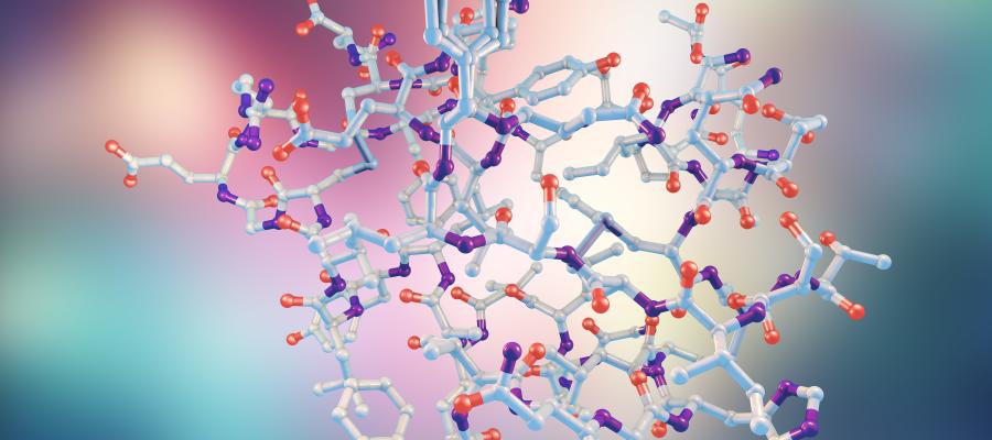 Molecular model of insulin molecule, 3D illustration